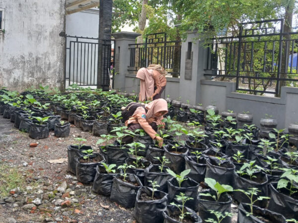 Ramadan Produktif dan Berdampak, Tim Green Guardian SMAN 2 Tanggul Tetap Konsisten Jalankan Program SIKAP