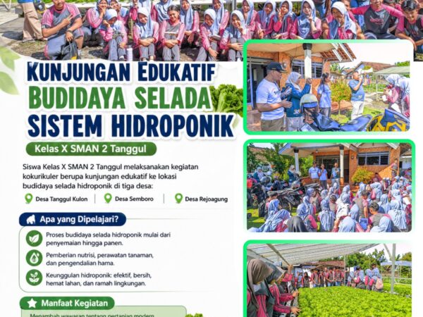 Belajar Pertanian Modern, Siswa Kelas X SMAN 2 Tanggul Jelajahi Budidaya Selada Hidroponik di Tiga Desa