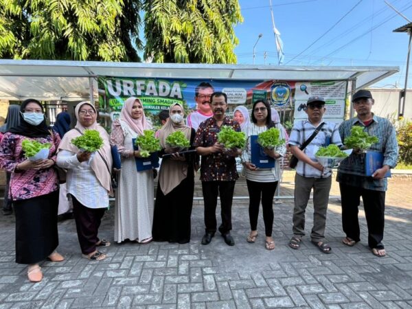 PANEN TAHAP 2 SMADATA: Urban Farming Hasilkan Selada Hidroponik Bebas Pestisida untuk Semua